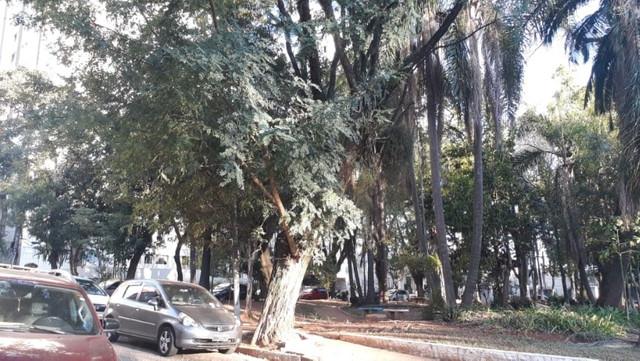 Apartamento, 2 quartos, 60 m² - Foto 7