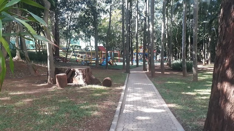 Apartamento, 4 quartos, 370 m² - Foto 47