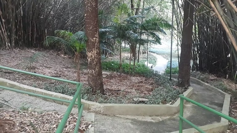 Apartamento, 4 quartos, 370 m² - Foto 46