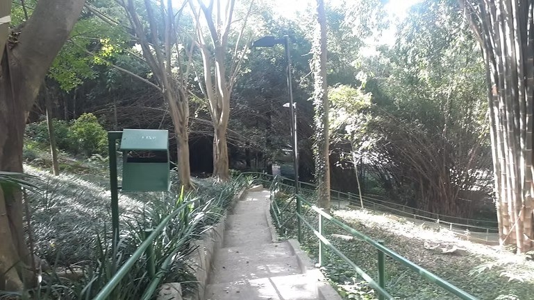 Apartamento, 4 quartos, 370 m² - Foto 45