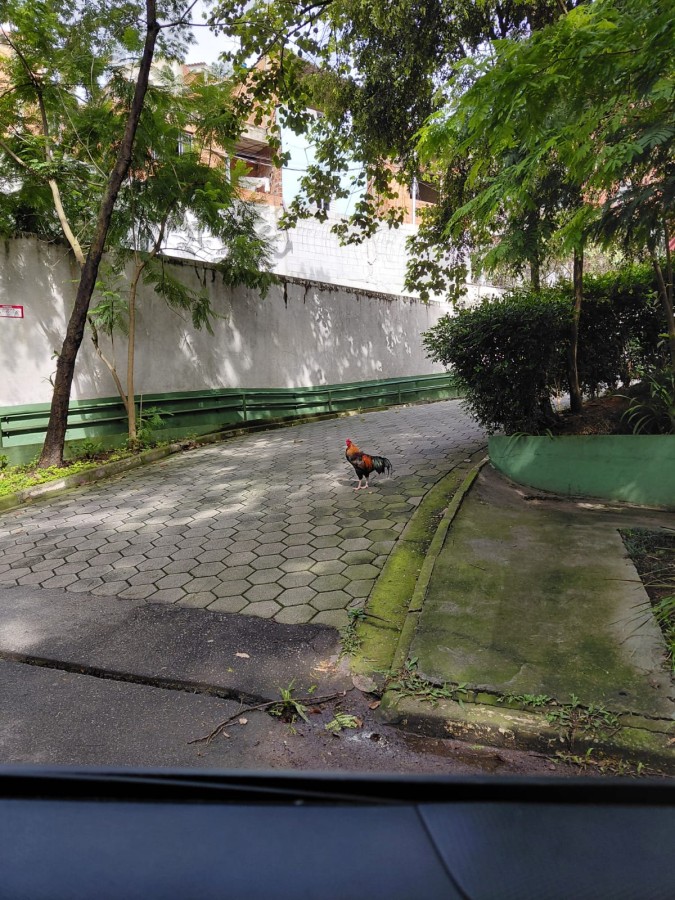 Apartamento, 2 quartos, 46 m² - Foto 6