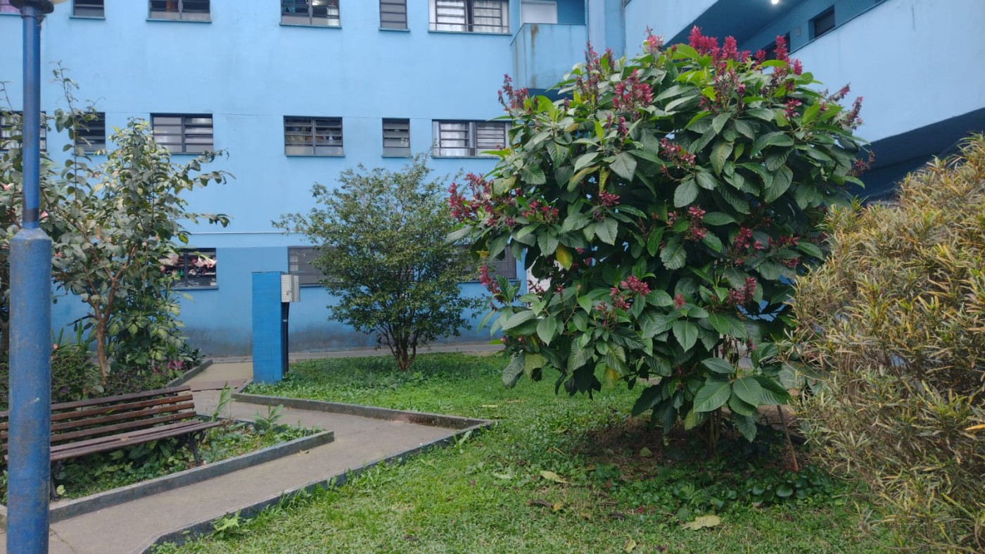 Apartamento, 2 quartos, 45 m² - Foto 32