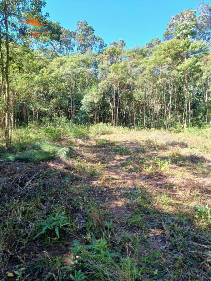 Terreno, 2000 m² - Foto 3